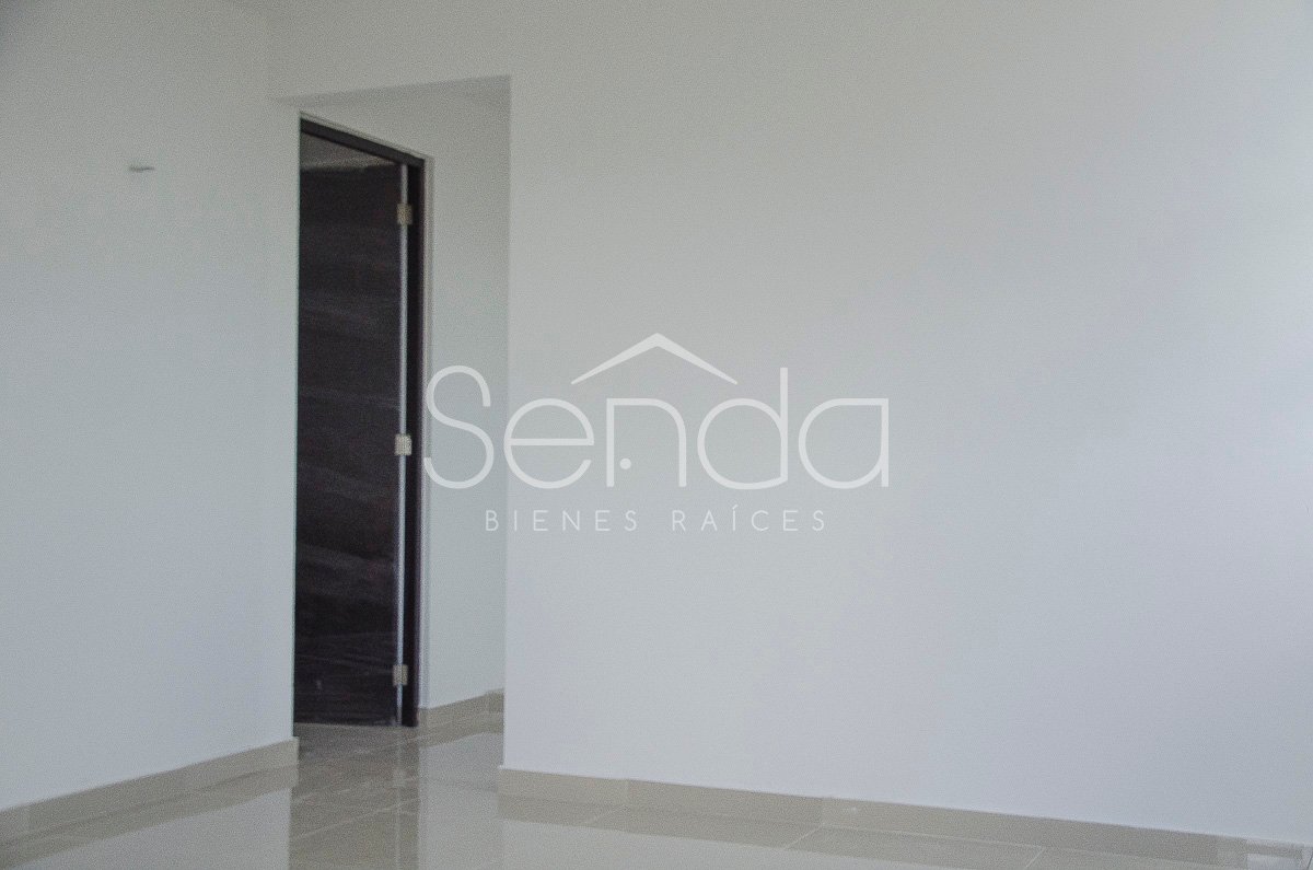 2019-09-11_00_02_24_12_19WE-06_PALMAR IV_17.jpg